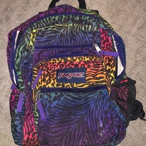 Jansport Multicolored Backpack